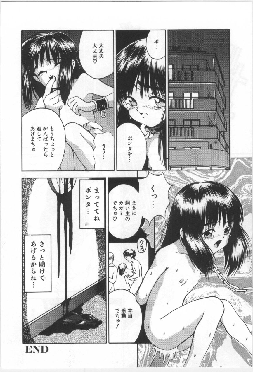 [もりしげ] 子供の森