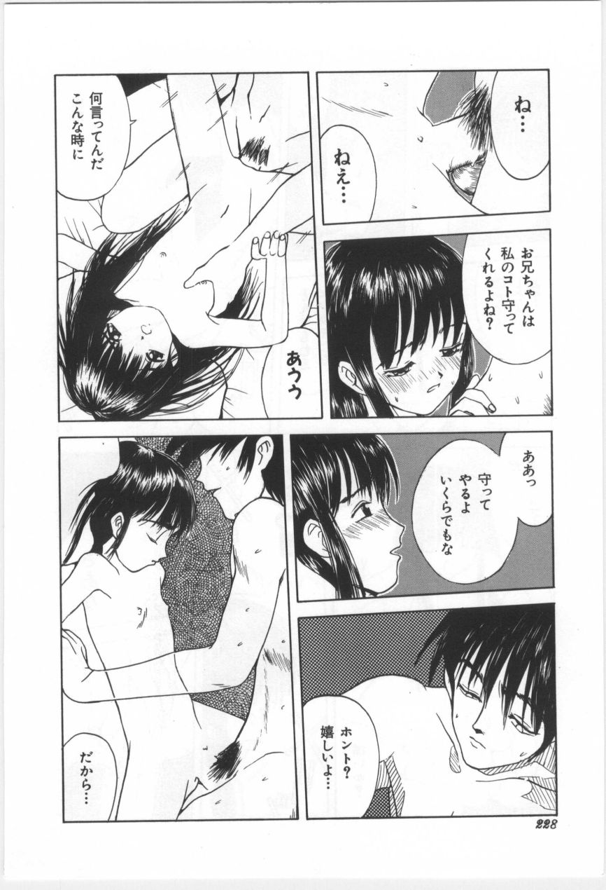 [もりしげ] 子供の森