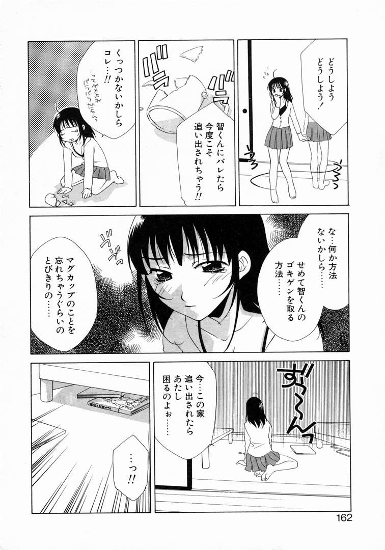 【三国佐保】きれい