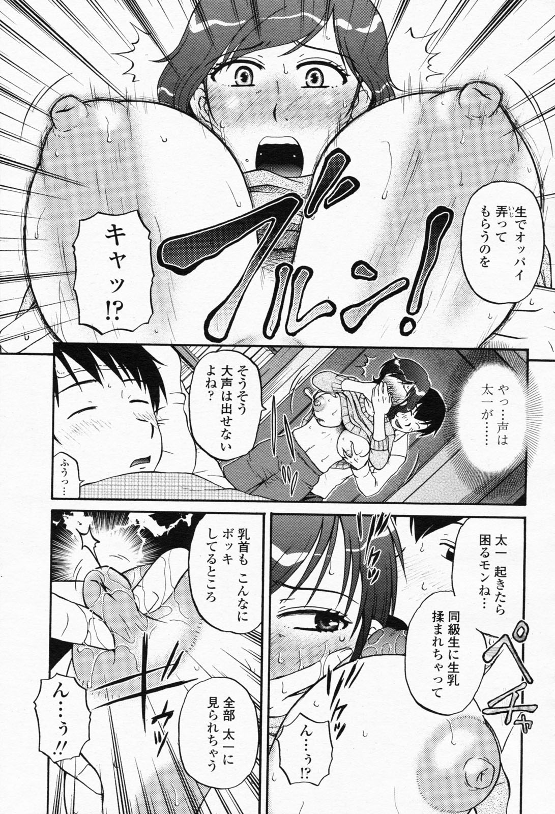 COMIC 桃姫 2008年05月号