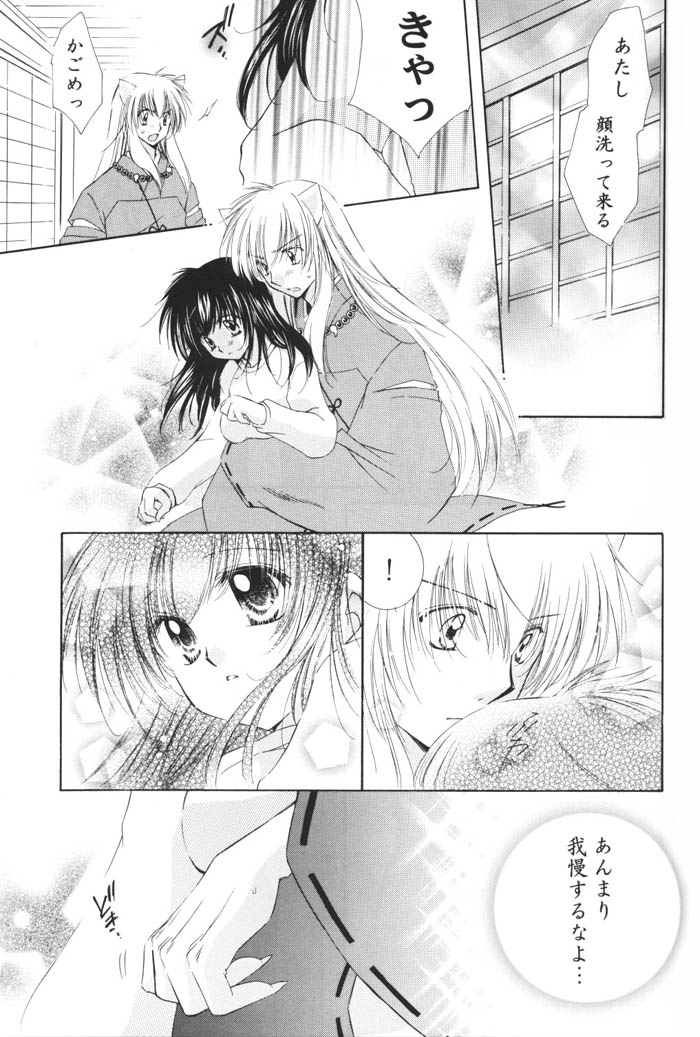(C69) [桜館 (芹桜さくら)] 星の降り積もる夜に (犬夜叉)