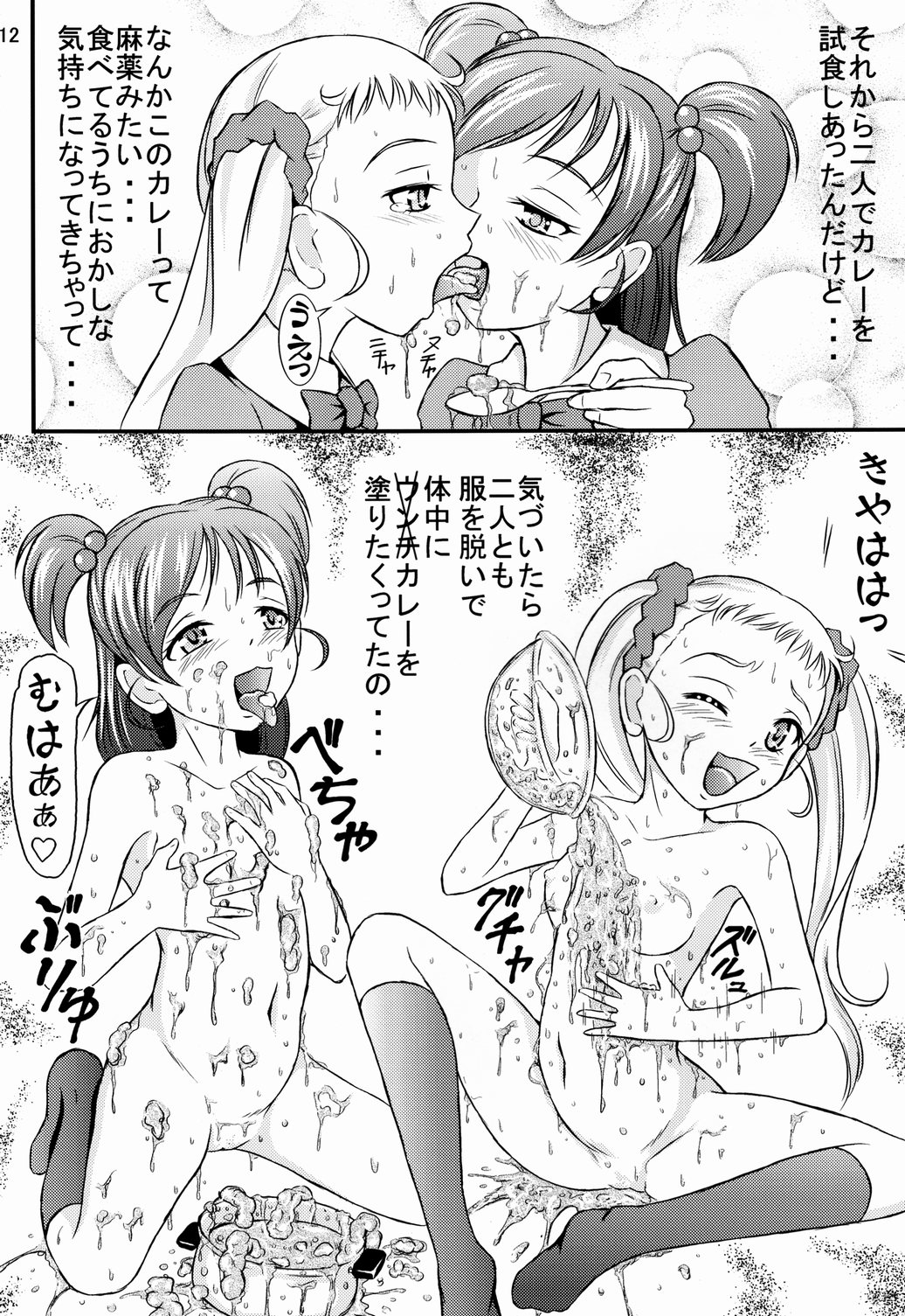 (サンクリ37) [秘密土曜日 (松鷹ぞん)] お母さんのカレー (Yes! プリキュア5)