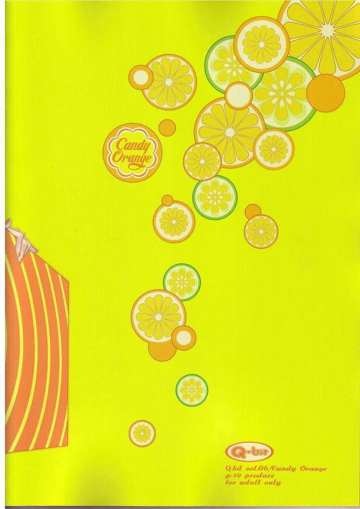(C65) [Q-bit (Q-10)] Q-bit vol.06 - Candy Orange (ワンピース)
