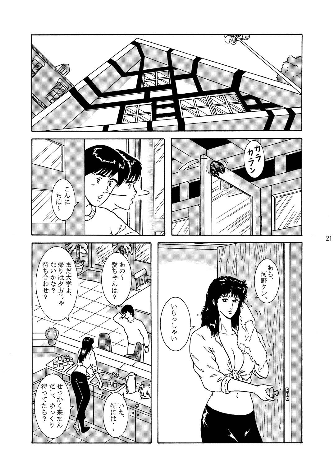 [アトリエピンポイント (クラック)] 夜間飛行 vol.1 DAY DREAMIN' (キャッツ・アイ)