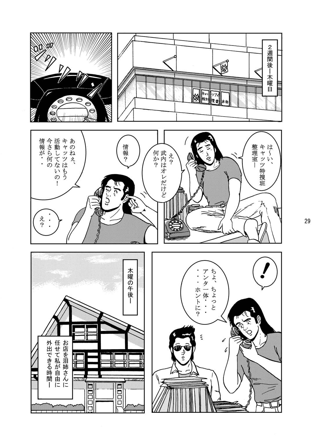 [アトリエピンポイント (クラック)] 夜間飛行 vol.1 DAY DREAMIN' (キャッツ・アイ)