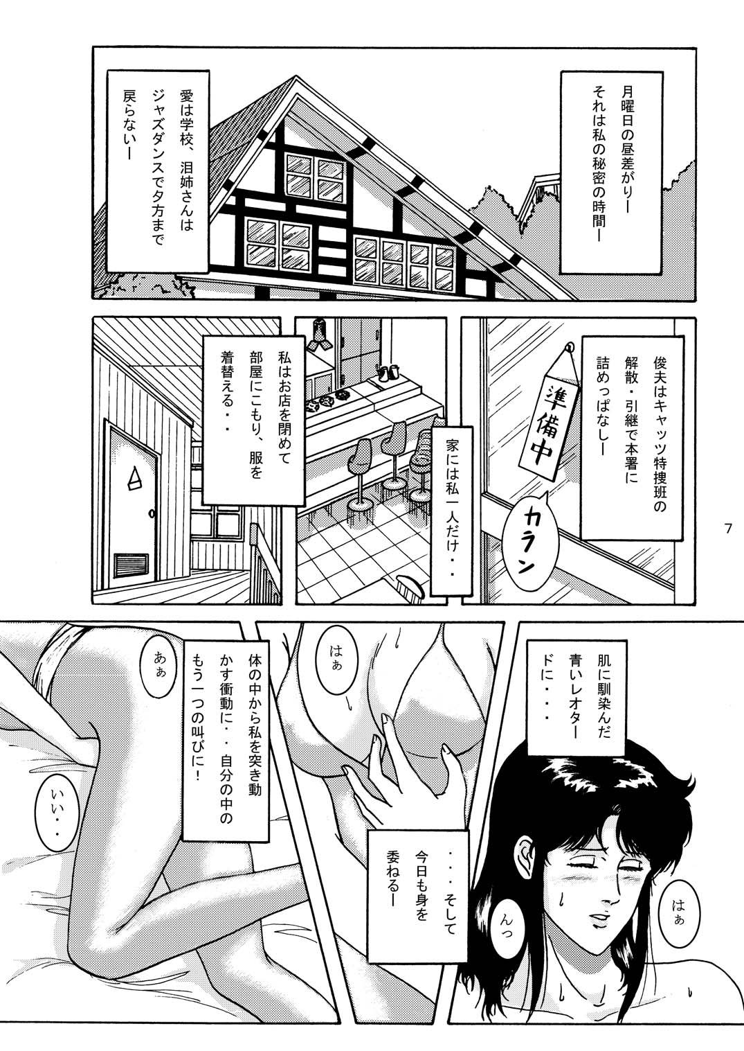 [アトリエピンポイント (クラック)] 夜間飛行 vol.1 DAY DREAMIN' (キャッツ・アイ)