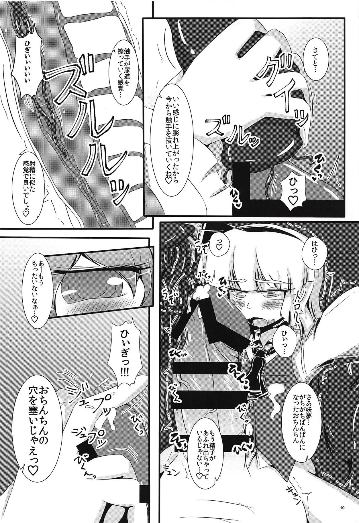 (秋季例大祭4) [ぬいぐるみやさん (いち)] がんばれ妖夢君!!! (東方Project)