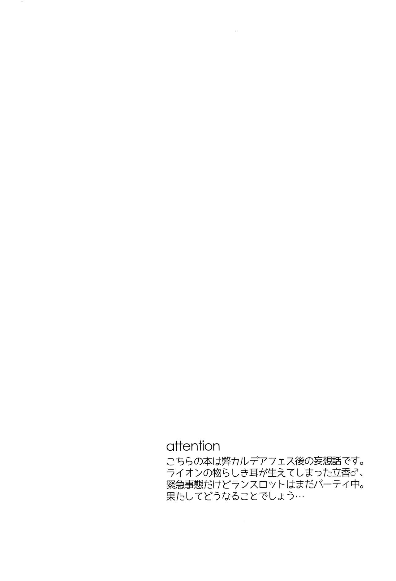 (C93) [アルビノの融発 (烏間ル)] Midnight Illuminate (Fate/Grand Order)
