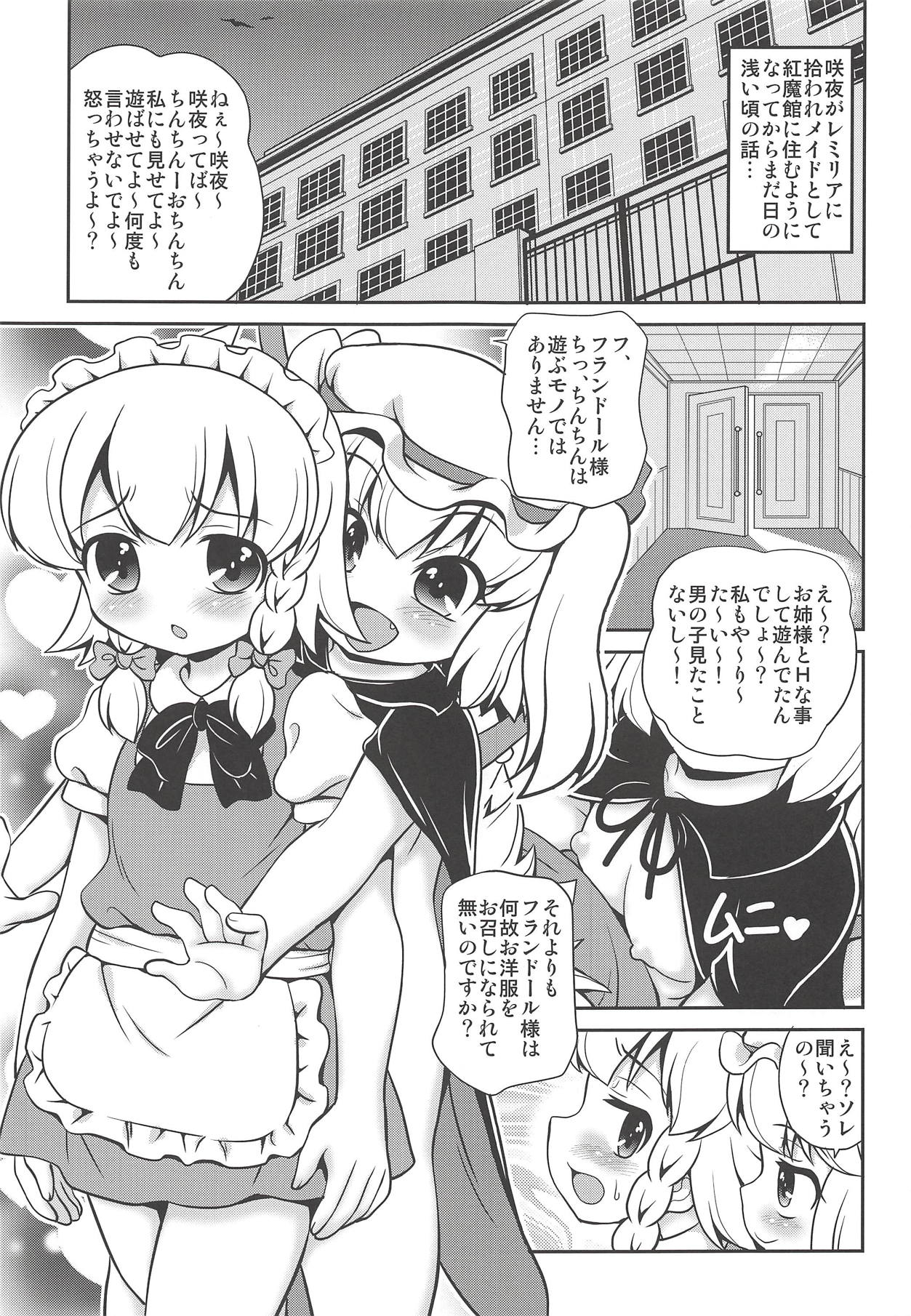 (C94) [魔導資料室 (emina、佐々木てろん、嵐-D-悪鬼羅)] Juguetes (東方Project)