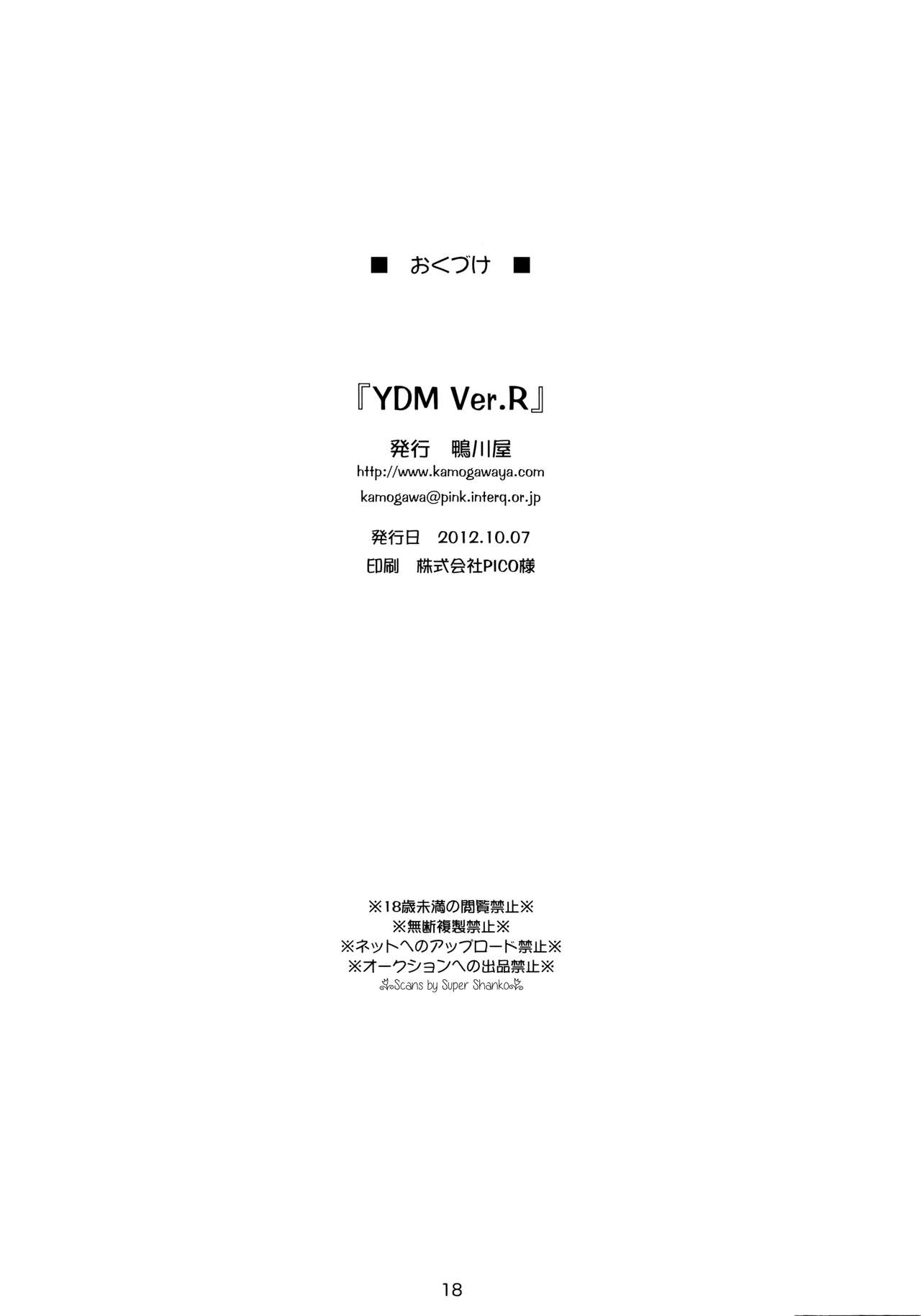(リリカルマジカル14) [鴨川屋 (鴨川たぬき)] Y.D.M Ver.R Limited Edition (魔法少女リリカルなのはStrikerS) [英訳]