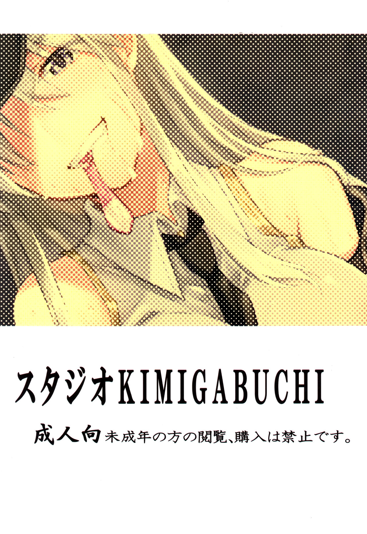 (C93) [スタジオKIMIGABUCHI (きみまる)] 俺のエンタープライズ (アズールレーン) [中国翻訳]