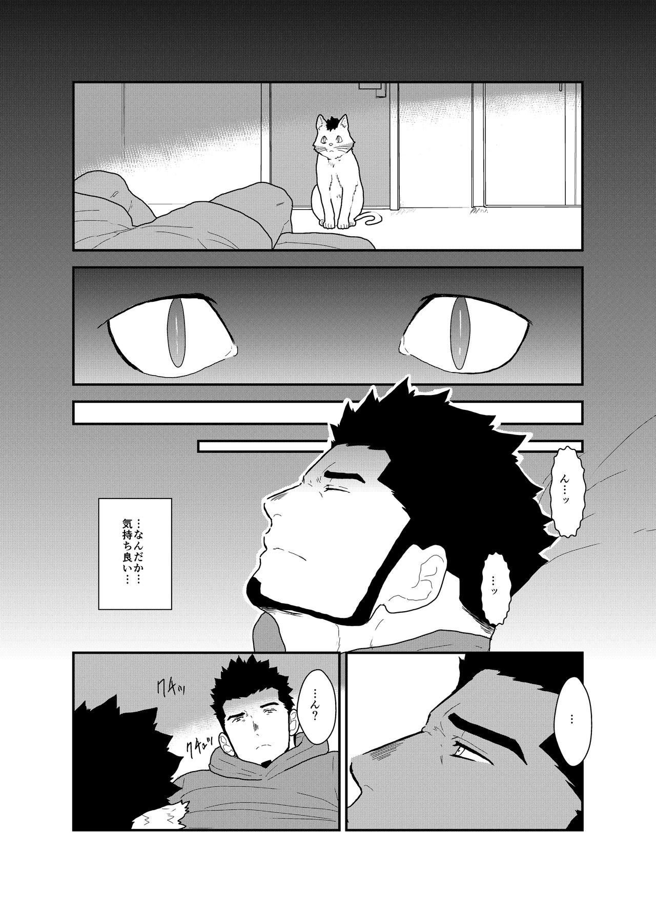 [空色パンダ (ヤモメ)] 化け猫語り