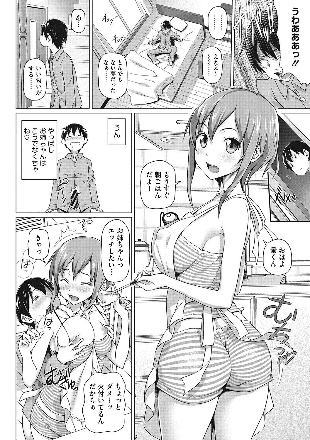 [白野じん] 僕の素敵なお姉ちゃん [DL版]