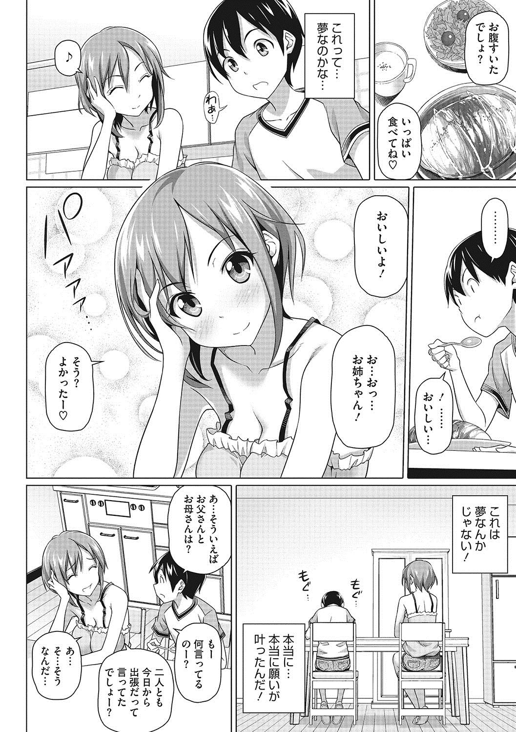 [白野じん] 僕の素敵なお姉ちゃん [DL版]