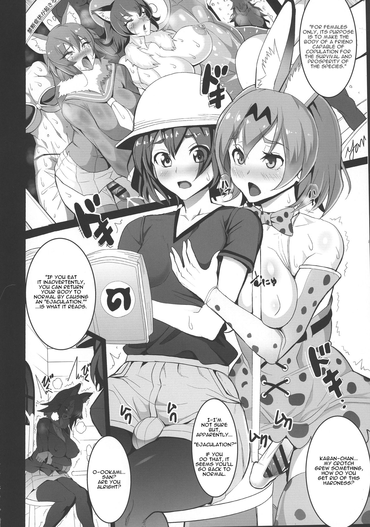 (ふたけっと13) [Circle Σ (泡盛一太朗)] やばんなフレンズ (けものフレンズ) [英訳]