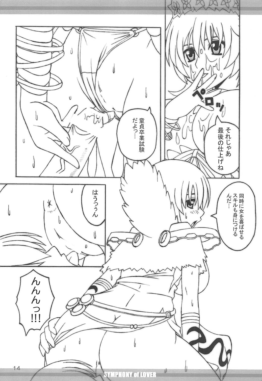(C78) [FORTUNA (神代イヅタ)] SYMPHONY of LOVER (ラグナロクオンライン)