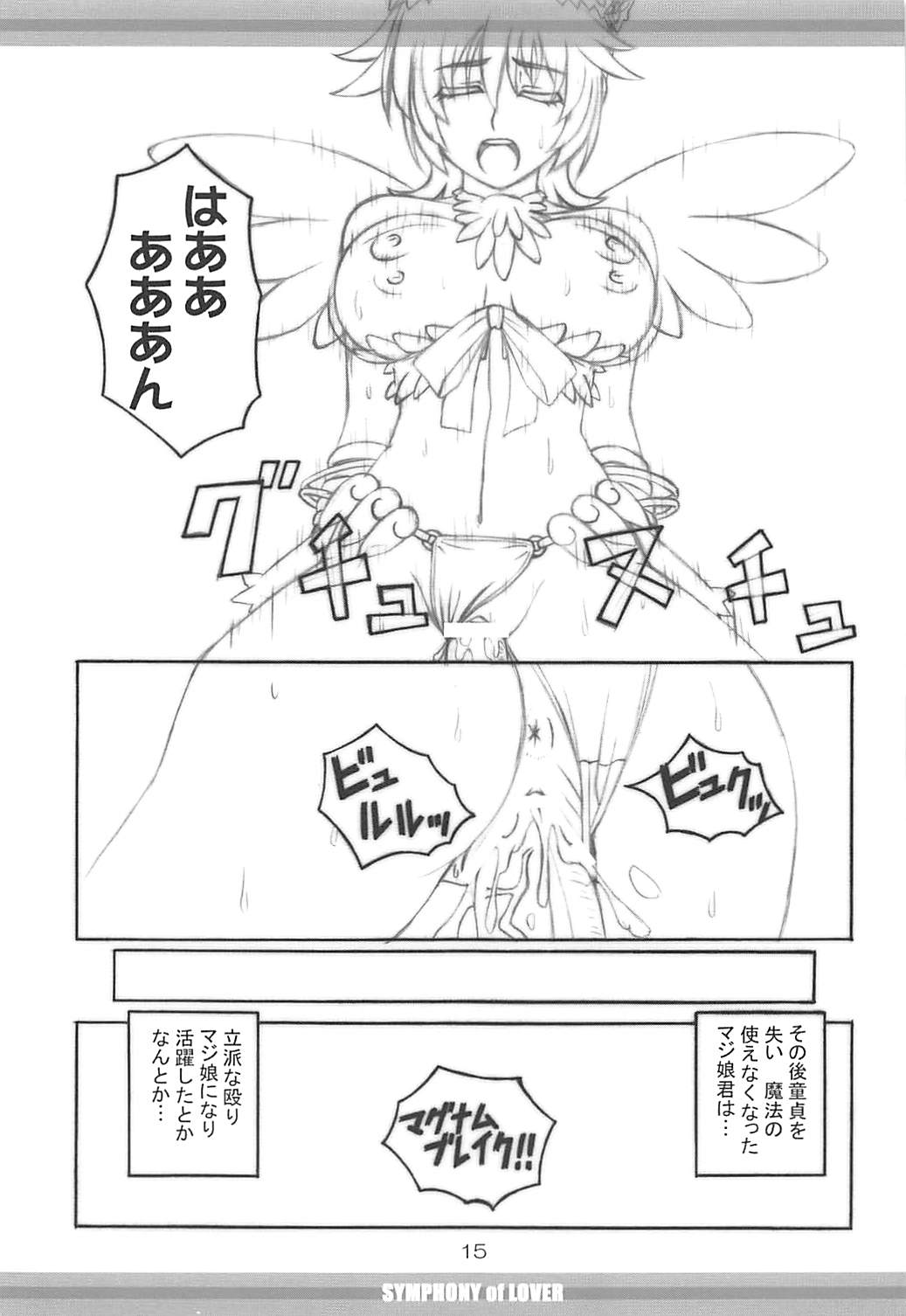 (C78) [FORTUNA (神代イヅタ)] SYMPHONY of LOVER (ラグナロクオンライン)