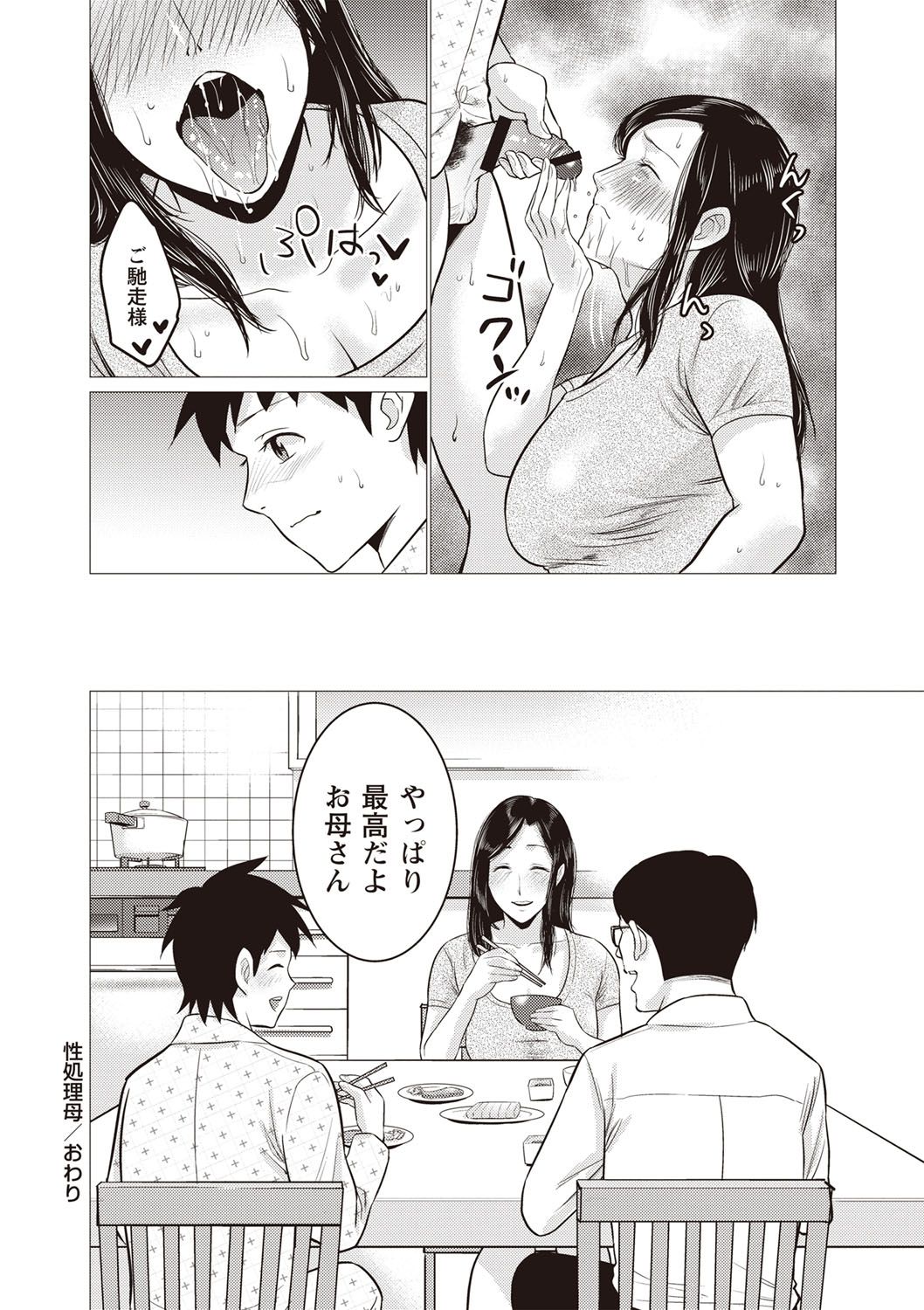 [夏のおやつ] 痴母相姦 [DL版]