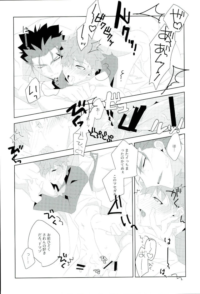 (SPARK11) [GLUTAMIC:ACID (たぬ之助)] 俺の知らない俺を全部 (Fate/stay night)