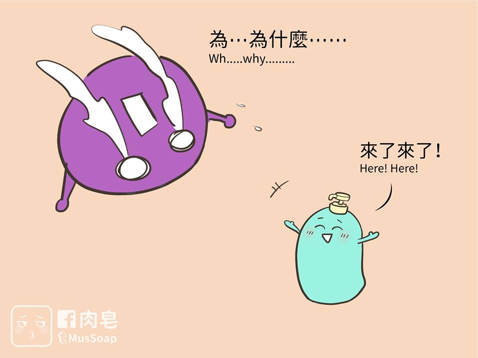 肉皂