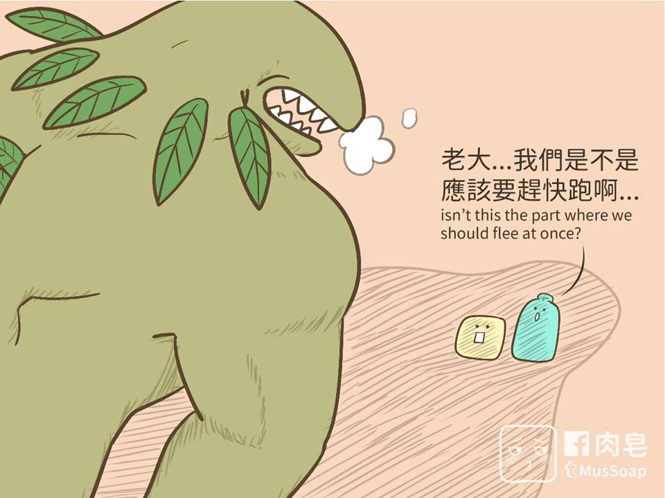肉皂