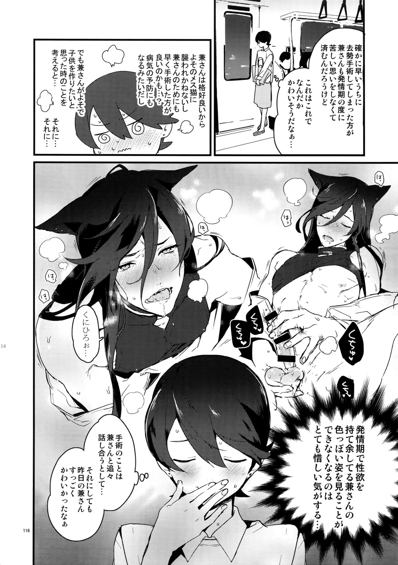 (閃華の刻14) [MERYx3 (ぬめり)] サイロク (刀剣乱舞)