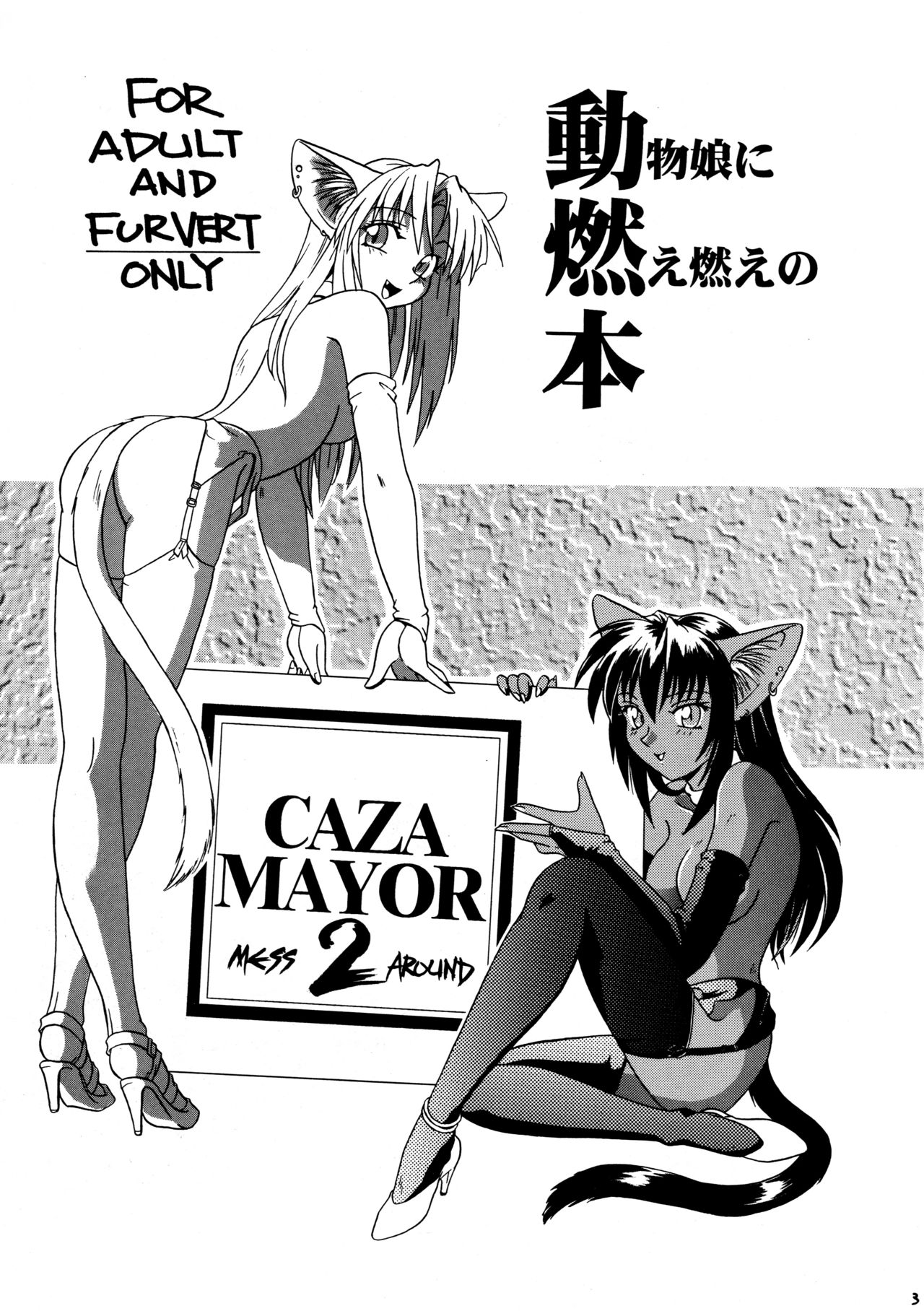 (C53) [ネコミミ団 (つつみあかり)] CAZA MAYOR 2