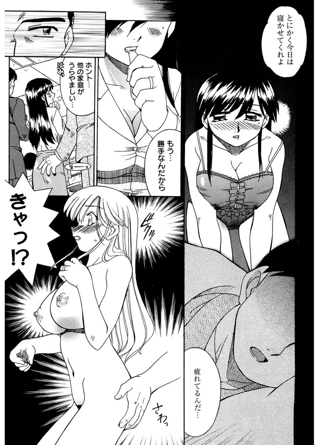 [あきふじさとし] 人の妻 [DL版]