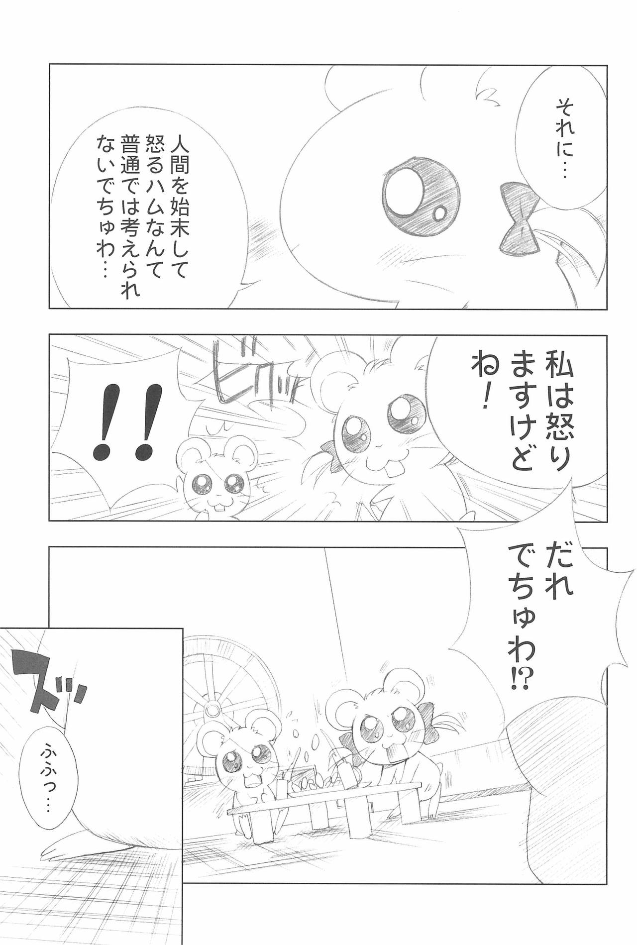 (C72) [ふらいぱん大魔王 (提灯暗光)] Conquest of the Planet of the Hams (とっとこハム太郎)