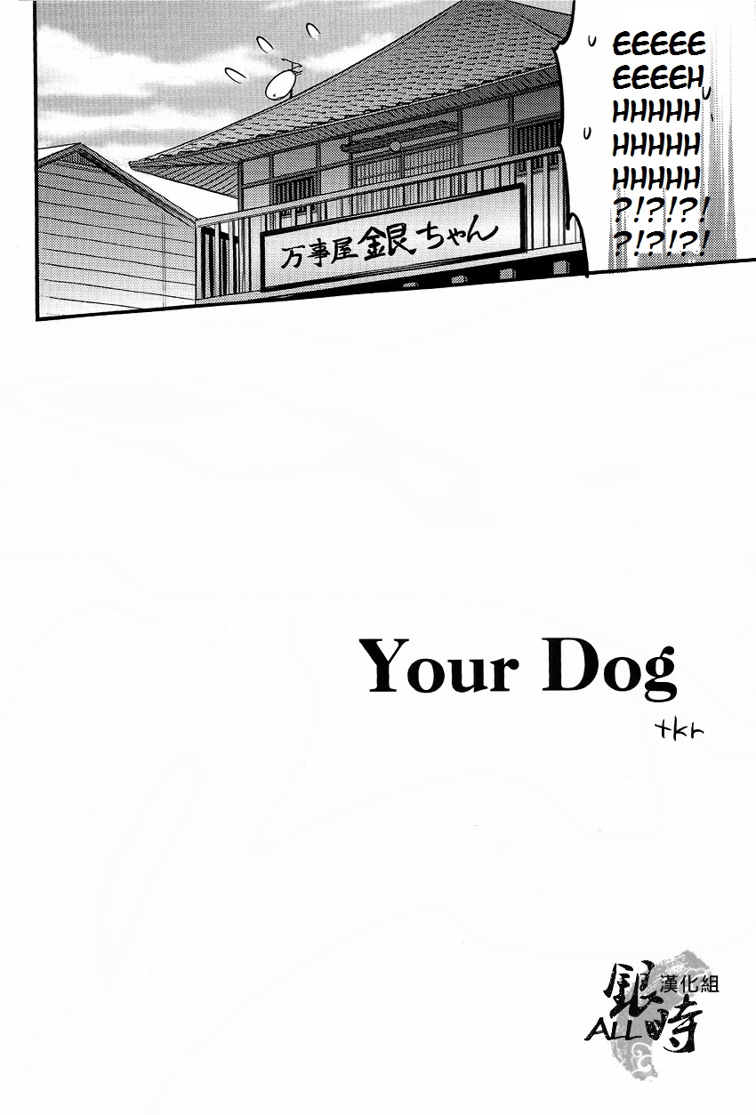 (HARUCC18) [3745HOUSE、鉄火G (ミカミタケル、貼)] HOW to SPOIL YOUR DOG (銀魂) [英訳]
