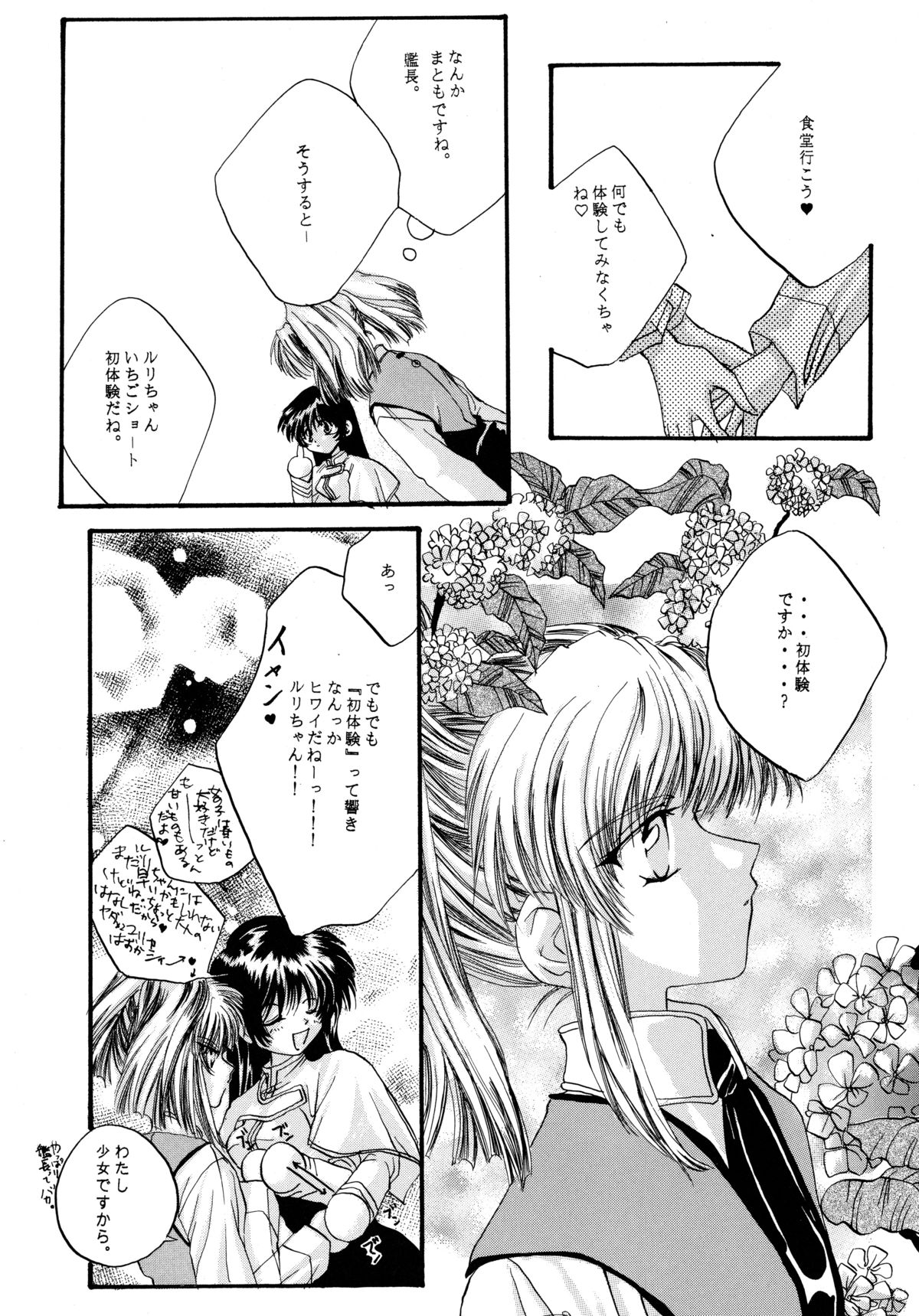 [ソフィア社 (よろず)] バカばっか!! どうなるの? (機動戦艦ナデシコ)