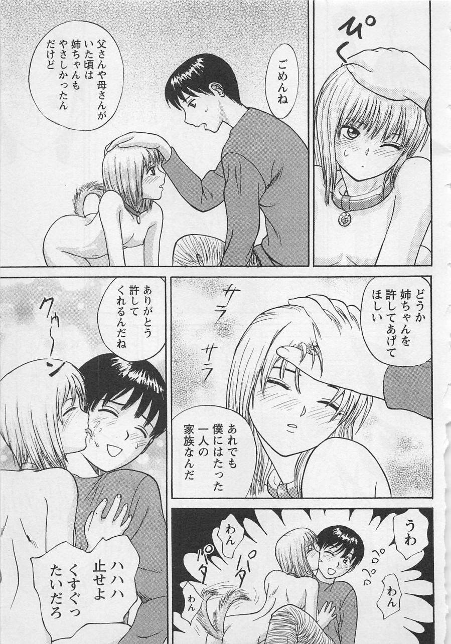 [野田ゆうじ] ぼくとすずなのいた夏