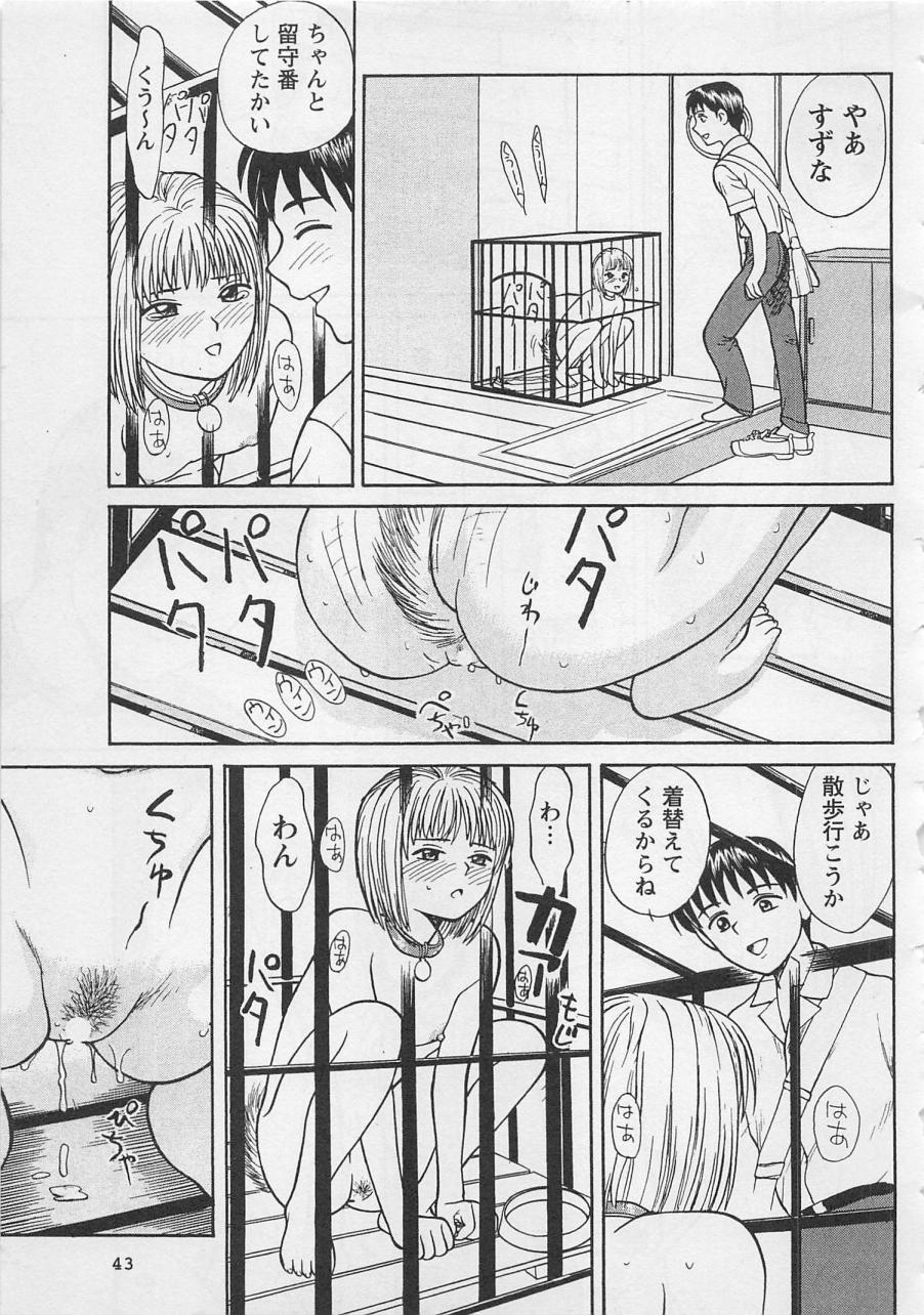 [野田ゆうじ] ぼくとすずなのいた夏