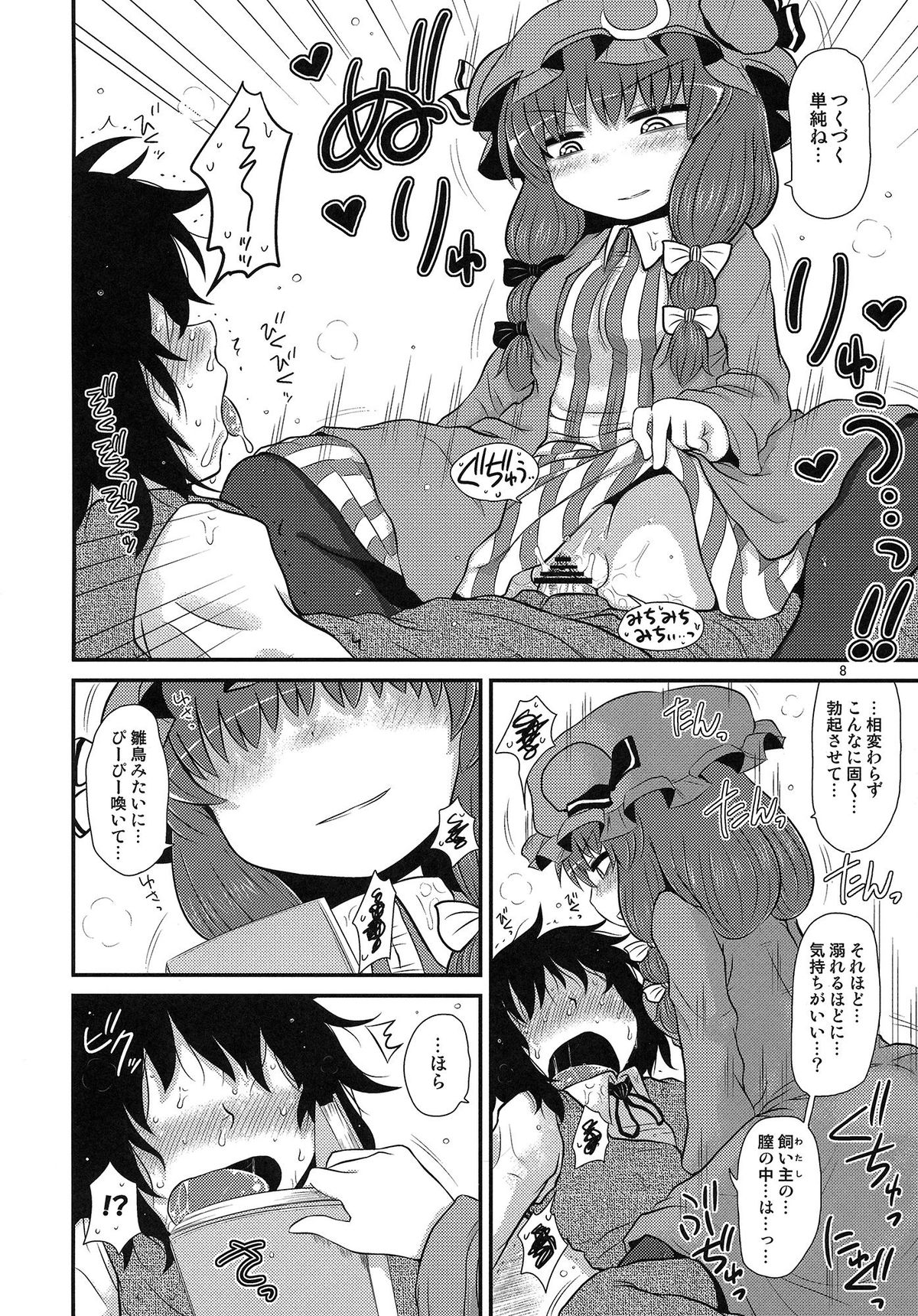 (C85) [川豚毒 (加藤フグオ)] するだけ番外。 (東方Project)