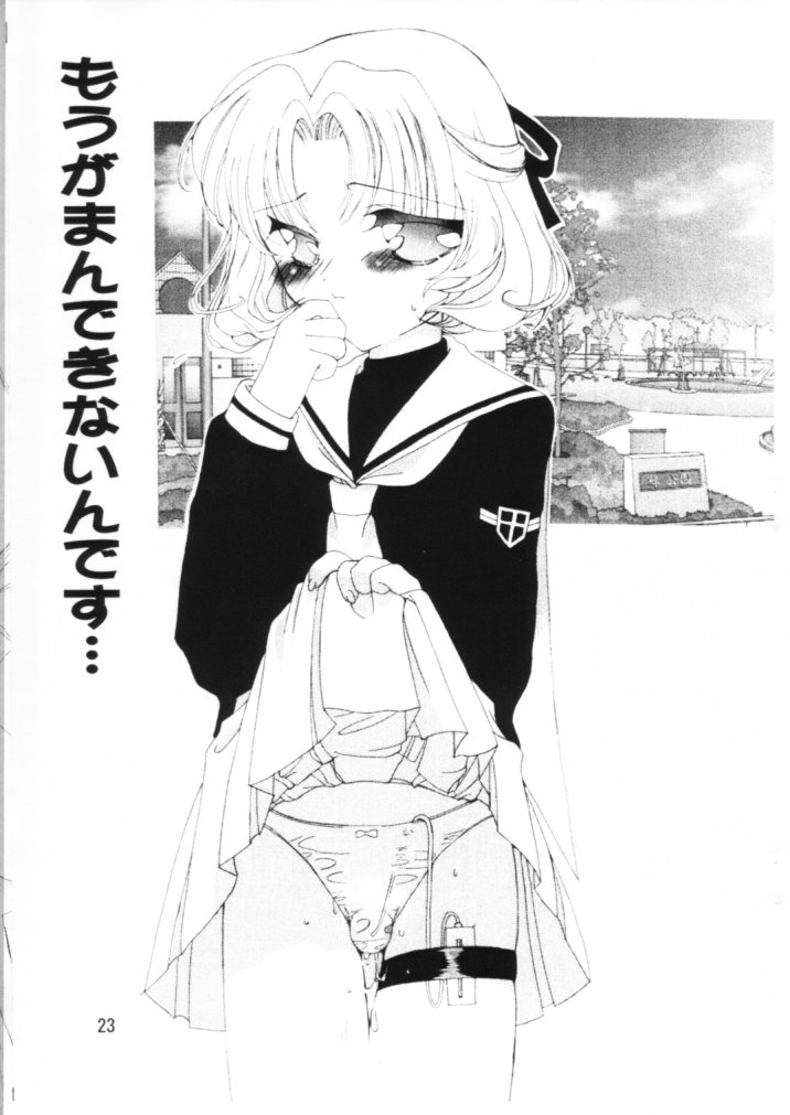 (C56) [タチネコ宮 (福岡きさら)] 想 ～おもい～ (カードキャプターさくら)