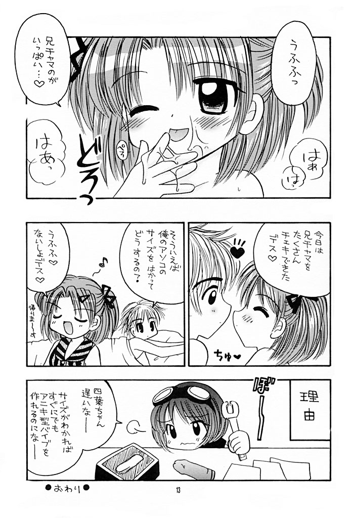 [RINARINA (志摩みつる)] 妹研究日誌 3 (シスター・プリンセス)