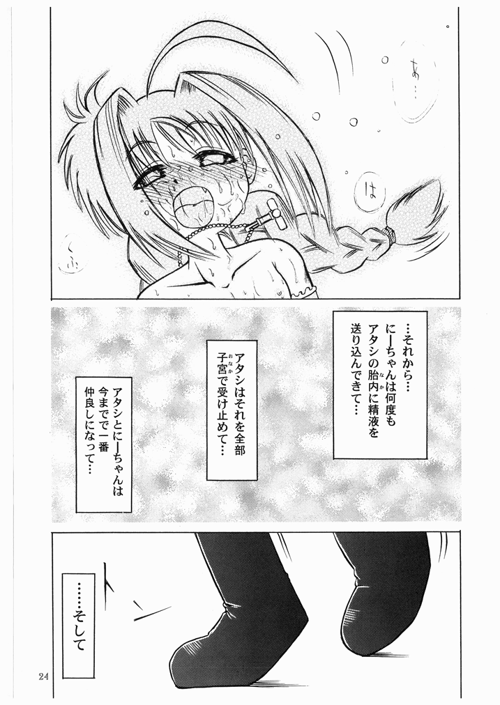 (リリカルマジカル3) [あかち (血鬼骸)] LOVITA (魔法少女リリカルなのは)