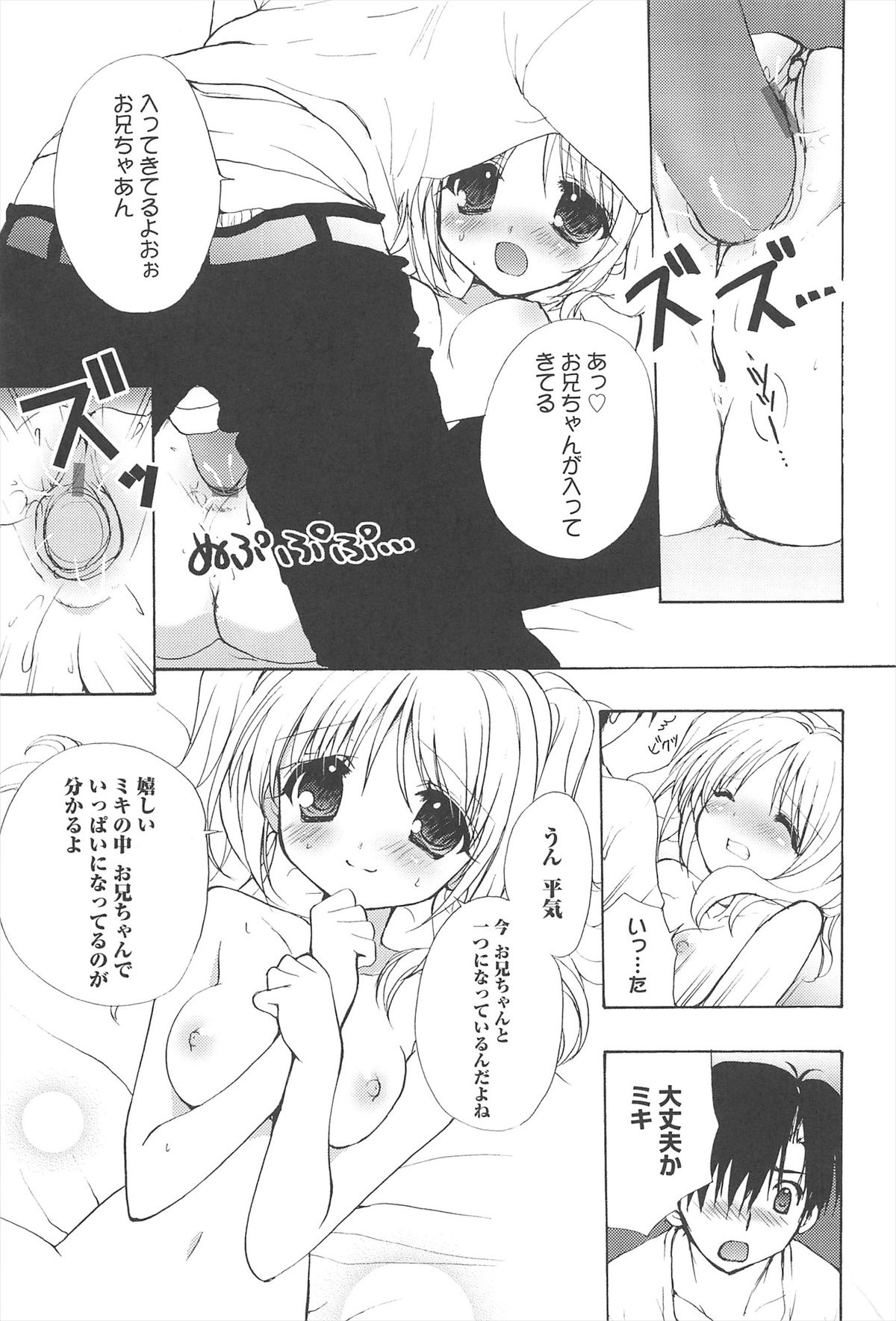 [猫屋敷ねこ丸] しゅがーすぽっと