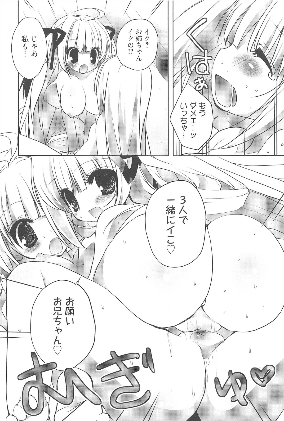 [猫屋敷ねこ丸] しゅがーすぽっと