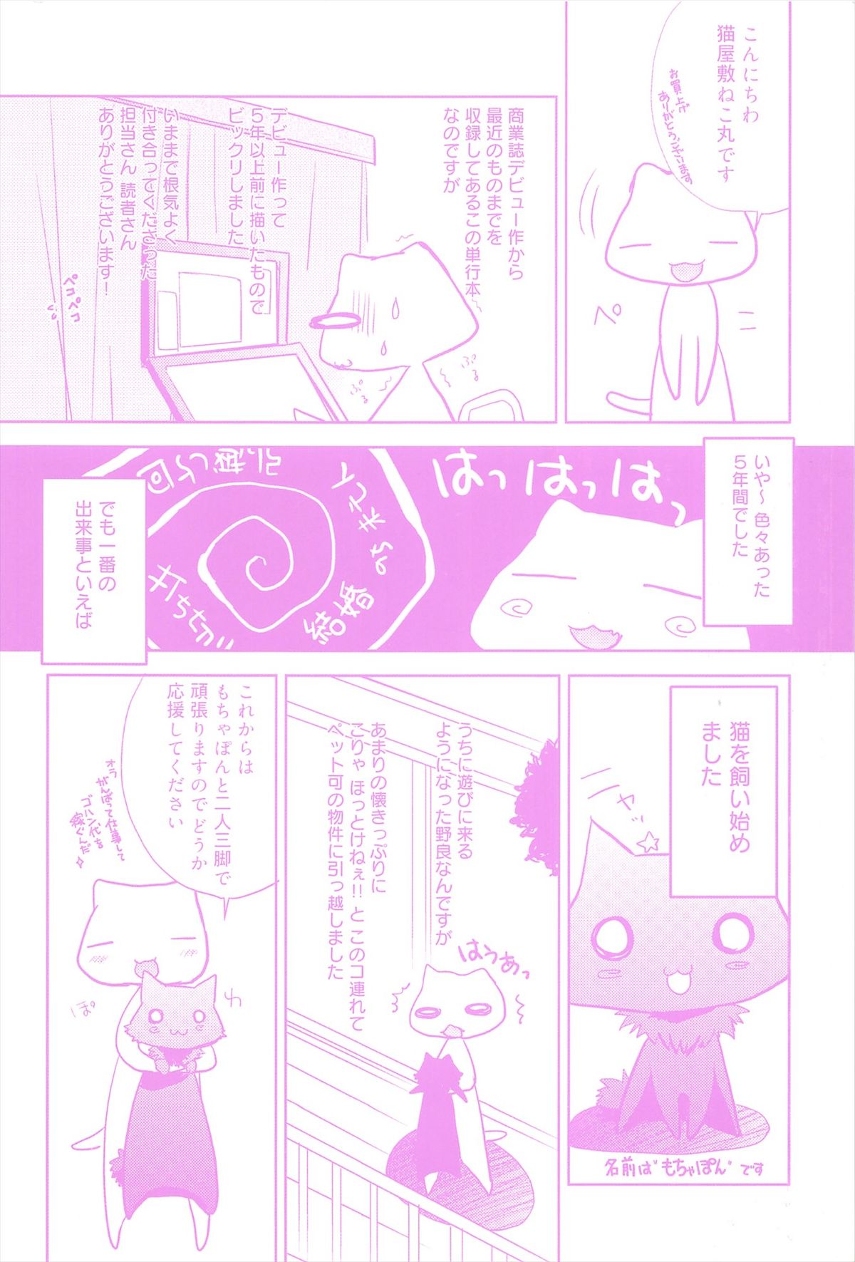 [猫屋敷ねこ丸] しゅがーすぽっと