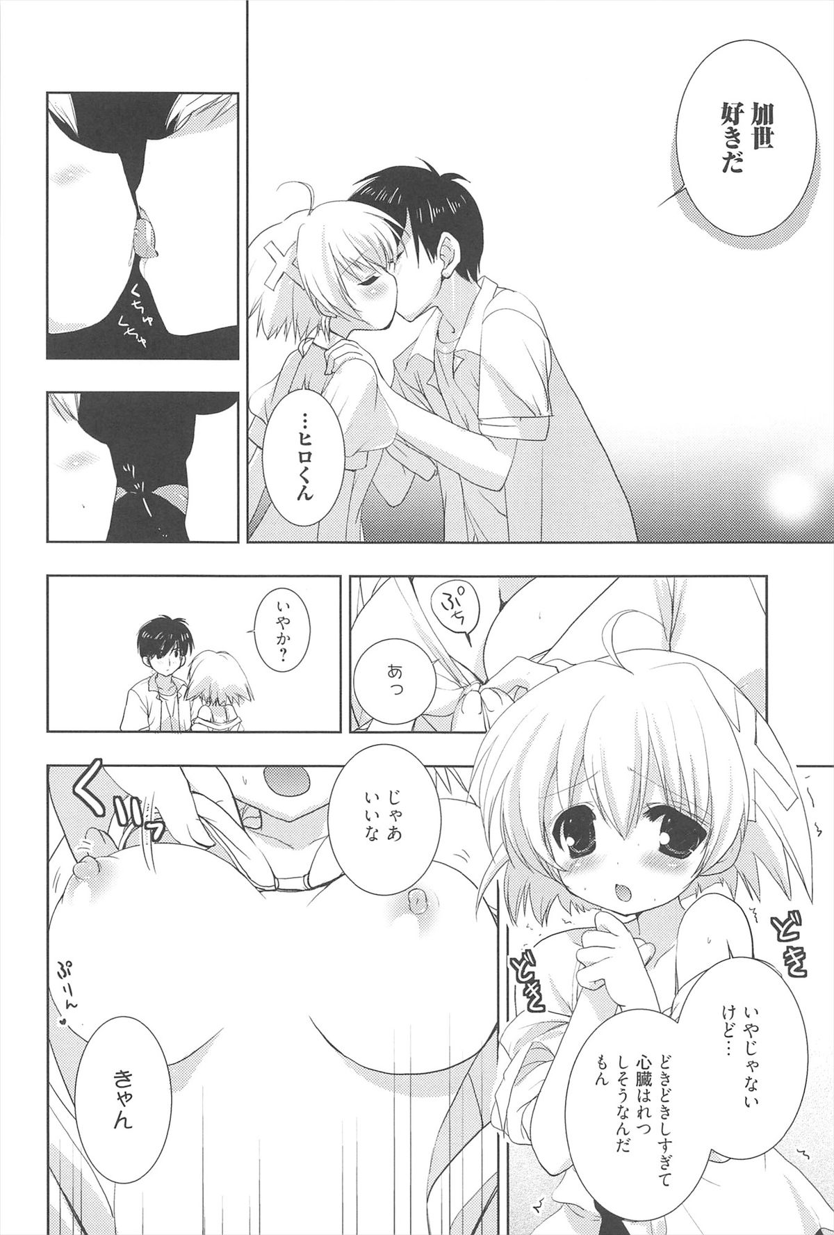 [猫屋敷ねこ丸] しゅがーすぽっと