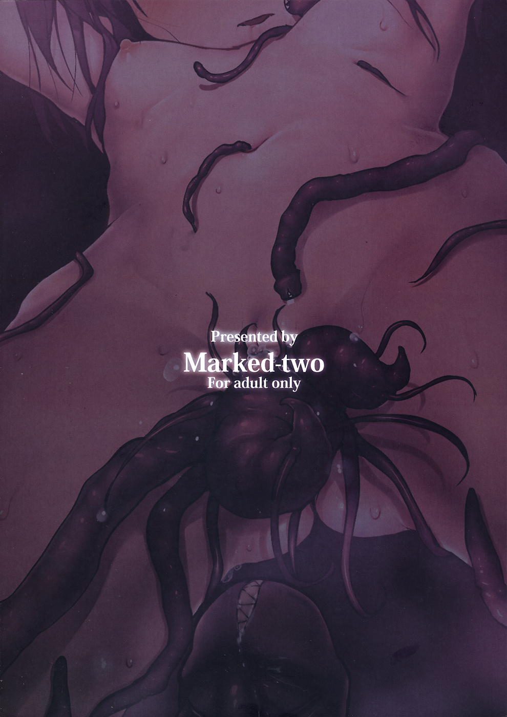 (C82) [Marked-two (まーくん)] Immoral/Zero (Fate/Zero)