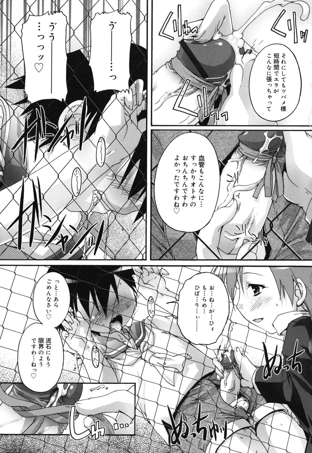[鷹勢優] カゴノトリ