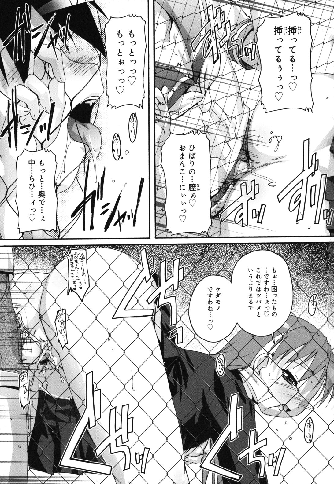 [鷹勢優] カゴノトリ