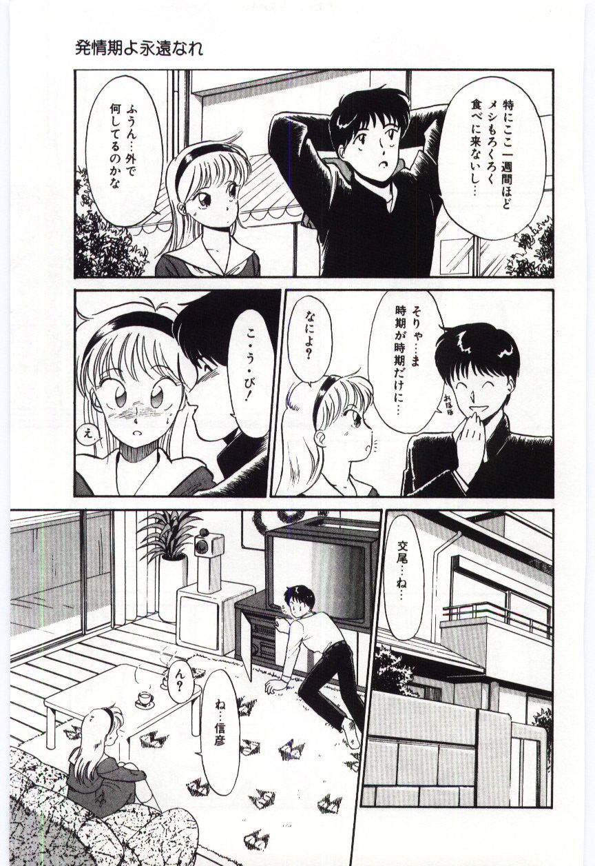 [法田恵]ミルキィロマンス[J]