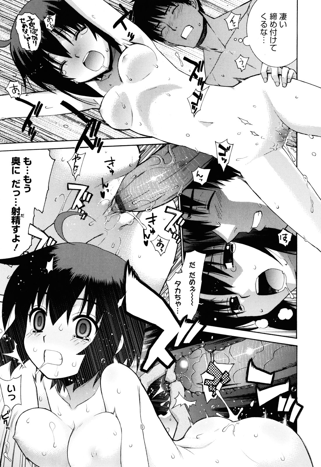 [稍日向] ぬこ巫女タン