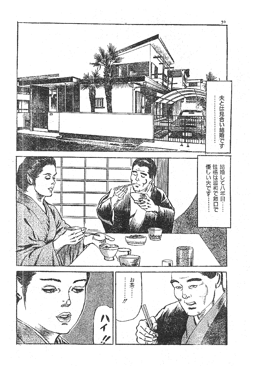 [藤井とおる] 不倫エロス劇画集