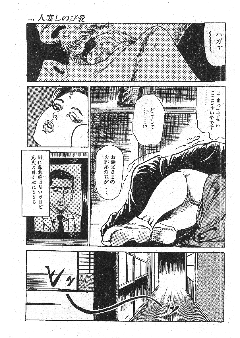 [藤井とおる] 不倫エロス劇画集