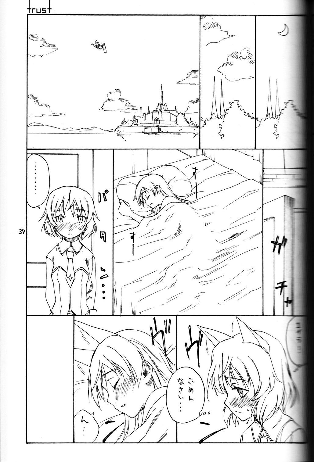(C79) [real (As-Special)] shytrust (ストライクウィッチーズ) [ページ欠落、trustパートのみ]
