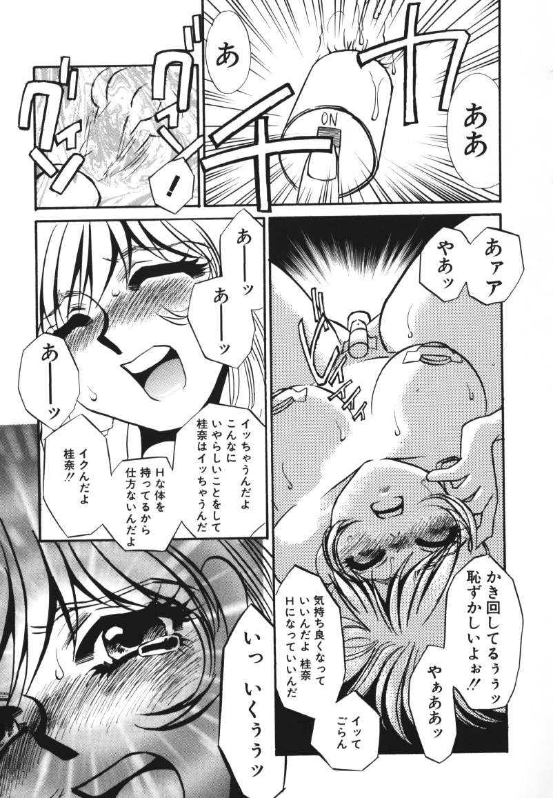 [海野やよい] 鍵の無い檻
